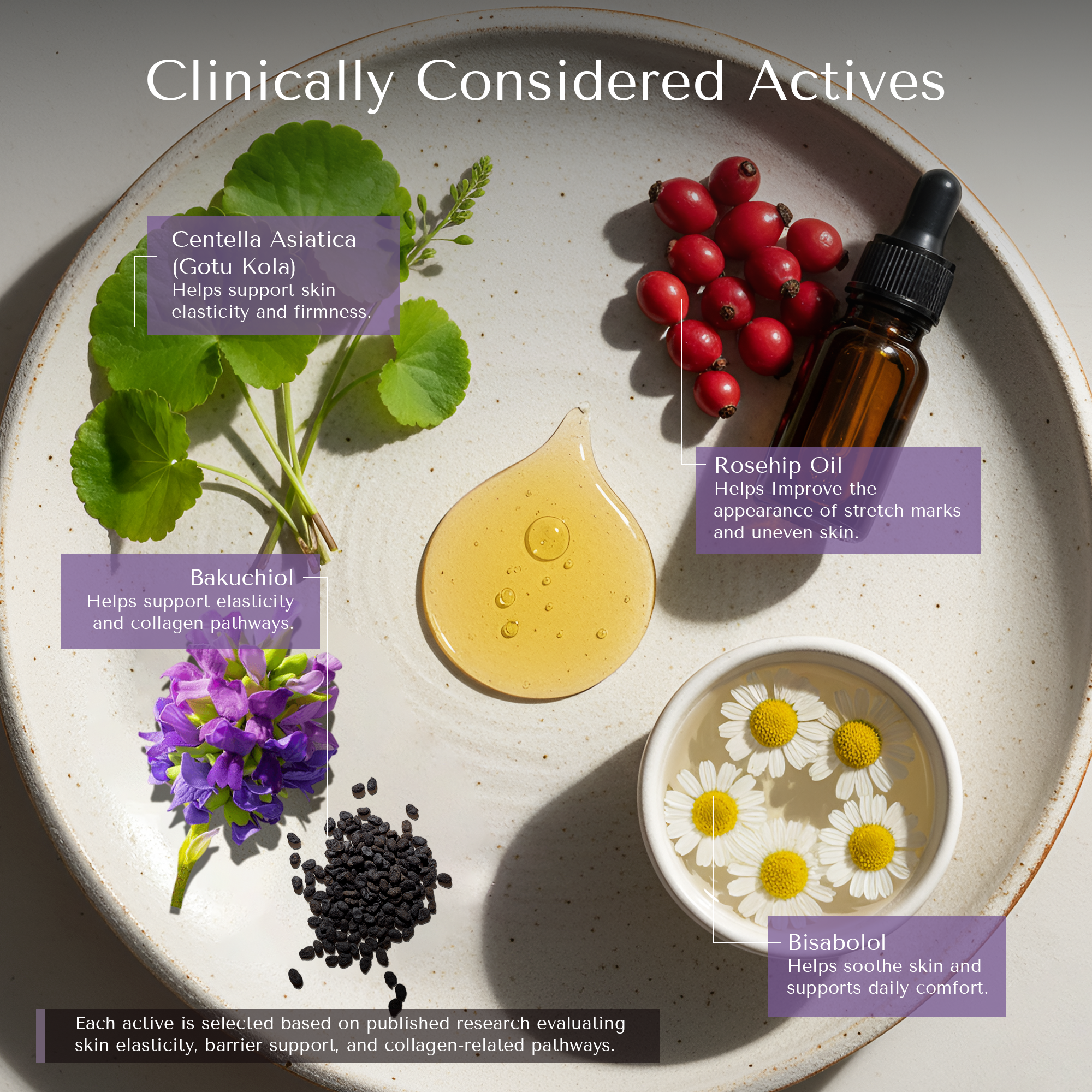 Elasticity Boost Body Oil for stretch marks